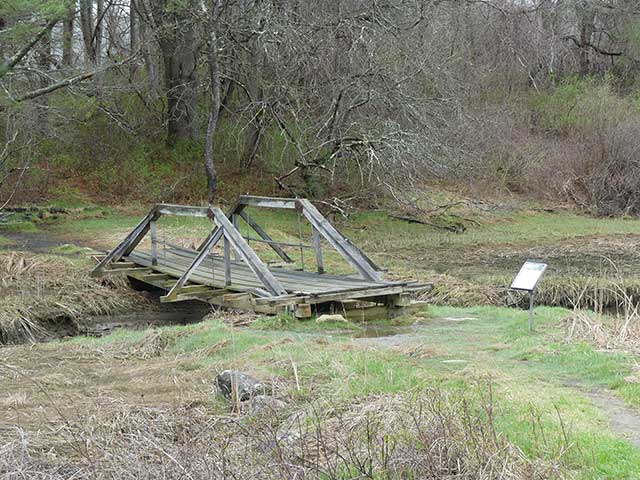 Wooden bridge on Squirrel Point Trail.