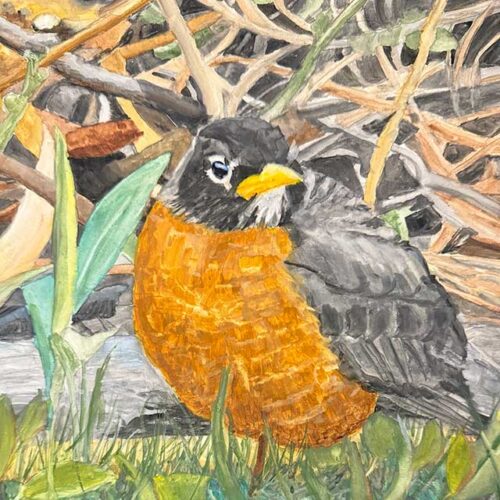 Painting of a robin on the ground with leaves and branches behind it