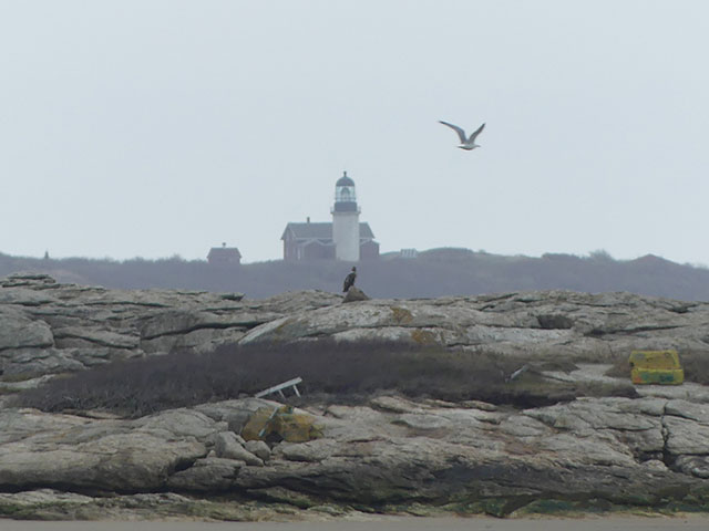 A photo of Seguin Island Lighthouse on a foggy day as seen from Popham Beach, Maine