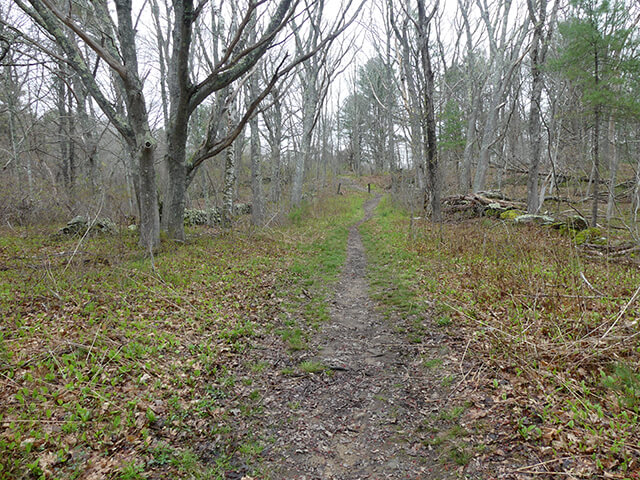 The start of Squirrel Point Trail in Arrowsic, Maine